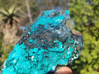 Natural Blue Silica Chrysocolla Specimens  x 2 From Congo - Toprock Gemstones and Minerals 