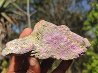 Natural Rough Stichtite & Serpentine Specimens  x 12 From Barberton, South Africa - Toprock Gemstones and Minerals 