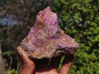 Natural Rough Stichtite & Serpentine Specimens  x 12 From Barberton, South Africa - Toprock Gemstones and Minerals 