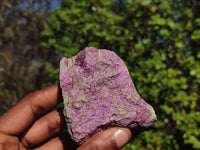 Natural Rough Stichtite & Serpentine Specimens  x 12 From Barberton, South Africa - Toprock Gemstones and Minerals 