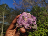 Natural Rough Stichtite & Serpentine Specimens  x 12 From Barberton, South Africa - Toprock Gemstones and Minerals 