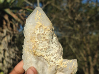 Natural Clear Quartz Crystals & Clusters  x 6 From Madagascar - Toprock Gemstones and Minerals 