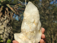 Natural Clear Quartz Crystals & Clusters  x 6 From Madagascar - Toprock Gemstones and Minerals 