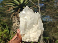 Natural Clear Quartz Crystals & Clusters  x 6 From Madagascar - Toprock Gemstones and Minerals 