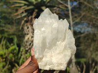 Natural Clear Quartz Crystals & Clusters  x 6 From Madagascar - Toprock Gemstones and Minerals 