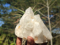 Natural Clear Quartz Crystals & Clusters  x 6 From Madagascar - Toprock Gemstones and Minerals 