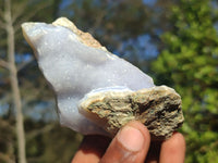 Natural Blue Lace Agate Geode Specimens  x 12 From Nsanje, Malawi - Toprock Gemstones and Minerals 