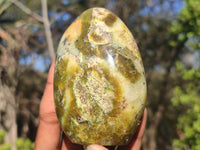 Polished Green Opal Standing Free Forms  x 6 From Antsirabe, Madagascar - Toprock Gemstones and Minerals 