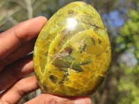 Polished Green Opal Standing Free Forms  x 6 From Antsirabe, Madagascar - Toprock Gemstones and Minerals 