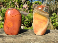 Polished Polychrome / Picasso Jasper Standing Free Forms  x 2 From Madagascar - Toprock Gemstones and Minerals 