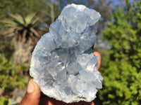 Natural Blue Celestite Crystal Specimens  x 2 From Sakoany, Madagascar - Toprock Gemstones and Minerals 