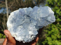 Natural Blue Celestite Crystal Specimens  x 2 From Sakoany, Madagascar - Toprock Gemstones and Minerals 