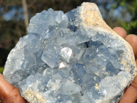 Natural Blue Celestite Crystal Specimens  x 2 From Sakoany, Madagascar - Toprock Gemstones and Minerals 