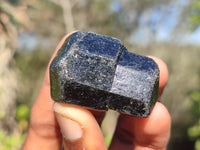 Natural Schorl Black Tourmaline Crystals  x 24 From Zimbabwe - Toprock Gemstones and Minerals 