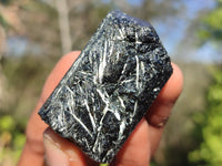 Natural Schorl Black Tourmaline Crystals  x 24 From Zimbabwe - Toprock Gemstones and Minerals 