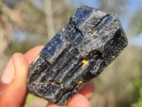 Natural Schorl Black Tourmaline Crystals  x 24 From Zimbabwe - Toprock Gemstones and Minerals 