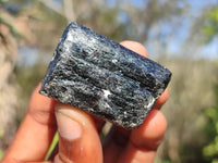 Natural Schorl Black Tourmaline Crystals  x 24 From Zimbabwe - Toprock Gemstones and Minerals 