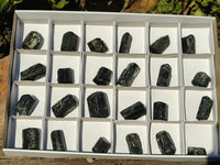 Natural Schorl Black Tourmaline Crystals  x 24 From Zimbabwe - Toprock Gemstones and Minerals 