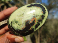 Polished Spotted Leopard Stone Gallets  x 6 From Zimbabwe - Toprock Gemstones and Minerals 