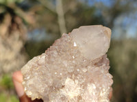 Natural Spirit Amethyst Quartz Clusters  x 12 From Boekenhouthoek, South Africa - Toprock Gemstones and Minerals 