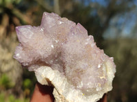 Natural Spirit Amethyst Quartz Clusters  x 12 From Boekenhouthoek, South Africa - Toprock Gemstones and Minerals 