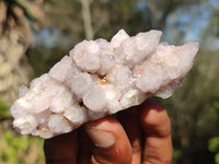 Natural Spirit Amethyst Quartz Clusters  x 12 From Boekenhouthoek, South Africa - Toprock Gemstones and Minerals 