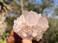 Natural Spirit Amethyst Quartz Clusters  x 12 From Boekenhouthoek, South Africa - Toprock Gemstones and Minerals 