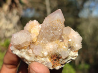 Natural Spirit Amethyst Quartz Clusters  x 12 From Boekenhouthoek, South Africa - Toprock Gemstones and Minerals 