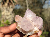 Natural Spirit Amethyst Quartz Clusters  x 12 From Boekenhouthoek, South Africa - Toprock Gemstones and Minerals 