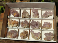 Natural Spirit Amethyst Quartz Clusters  x 12 From Boekenhouthoek, South Africa - Toprock Gemstones and Minerals 