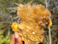 Natural Golden Limonite / Lemonite Quartz Clusters  x 12 From Zambia - Toprock Gemstones and Minerals 