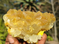 Natural Golden Limonite / Lemonite Quartz Clusters  x 12 From Zambia - Toprock Gemstones and Minerals 