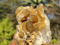 Natural Golden Limonite / Lemonite Quartz Clusters  x 12 From Zambia - Toprock Gemstones and Minerals 