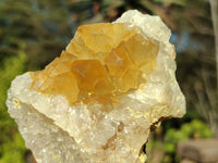 Natural Golden Limonite / Lemonite Quartz Clusters  x 12 From Zambia - Toprock Gemstones and Minerals 