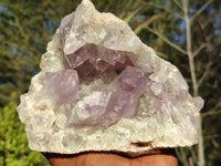 Natural Jacaranda Amethyst Cluster x 1 From Zambia - Toprock Gemstones and Minerals 