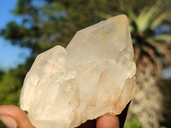 Natural Intact White Quartz Clusters  x 4 From Madagascar - Toprock Gemstones and Minerals 