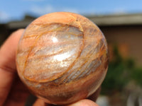 Polished Flashy Peach Moonstone Spheres  x 6 From Madagascar - Toprock Gemstones and Minerals 