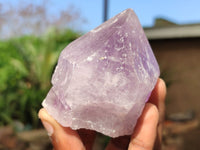 Natural Single Jacaranda Amethyst Crystals  x 12 From Zambia - Toprock Gemstones and Minerals 