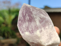 Natural Single Jacaranda Amethyst Crystals  x 12 From Zambia - Toprock Gemstones and Minerals 