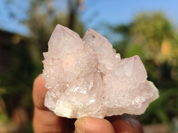 Natural Small Mixed Spirit Quartz Crystals & Clusters  x 20 From Boekenhouthoek, South Africa - Toprock Gemstones and Minerals 