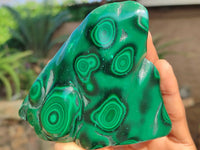 Polished Flower Banded Malachite Free Forms  x 3 From Congo - Toprock Gemstones and Minerals 