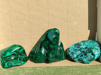 Polished Flower Banded Malachite Free Forms  x 3 From Congo - Toprock Gemstones and Minerals 