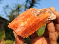 Natural New Sunset Orange Calcite Specimens  x 12 From Spitzkop, Namibia - Toprock Gemstones and Minerals 