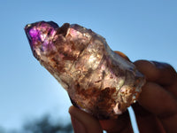 Natural Window Amethyst Quartz Crystals  x 12 From Chiredzi, Zimbabwe - Toprock Gemstones and Minerals 