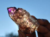 Natural Window Amethyst Quartz Crystals  x 12 From Chiredzi, Zimbabwe - Toprock Gemstones and Minerals 