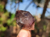 Natural Window Amethyst Quartz Crystals  x 12 From Chiredzi, Zimbabwe - Toprock Gemstones and Minerals 