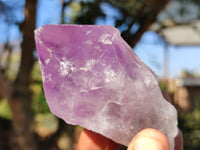 Natural Single Jacaranda Amethyst Crystals  x 12 From Zambia - Toprock Gemstones and Minerals 