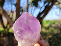 Natural Single Jacaranda Amethyst Crystals  x 12 From Zambia - Toprock Gemstones and Minerals 