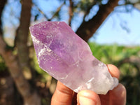 Natural Single Jacaranda Amethyst Crystals  x 12 From Zambia - Toprock Gemstones and Minerals 