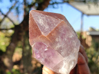 Natural Single Jacaranda Amethyst Crystals  x 12 From Zambia - Toprock Gemstones and Minerals 